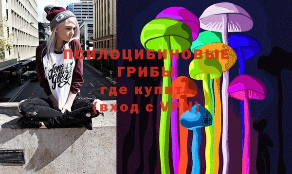 кокаин перу Богданович