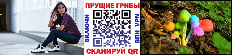 Галлюциногенные грибы прущие грибы  Горнозаводск 